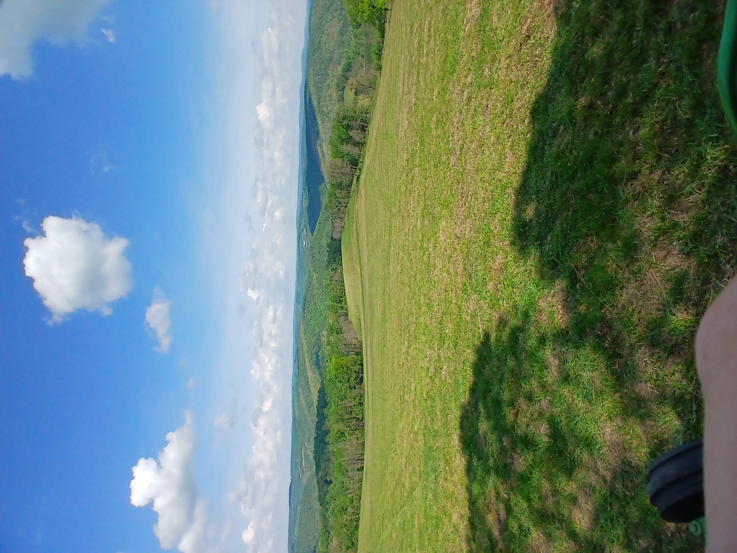 Highland Farms Allegheny ridge pasture