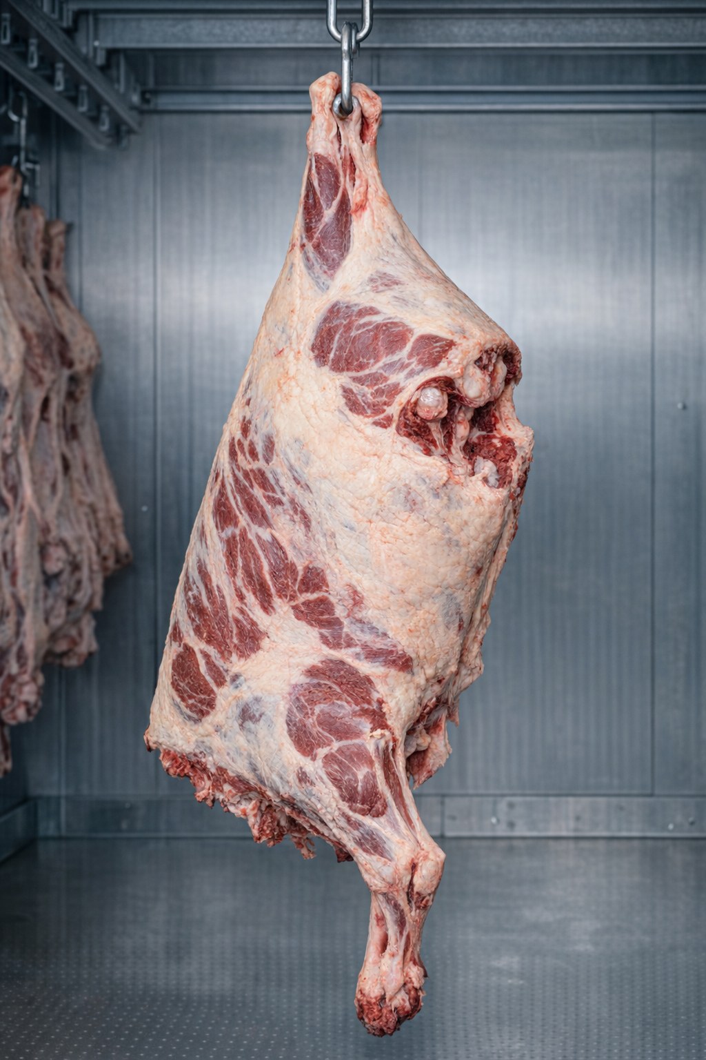 Hindquarter beef carcass hanging in cooler, grass-finished